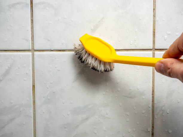 Best Residential Mold Remediation in Lebanon, TN